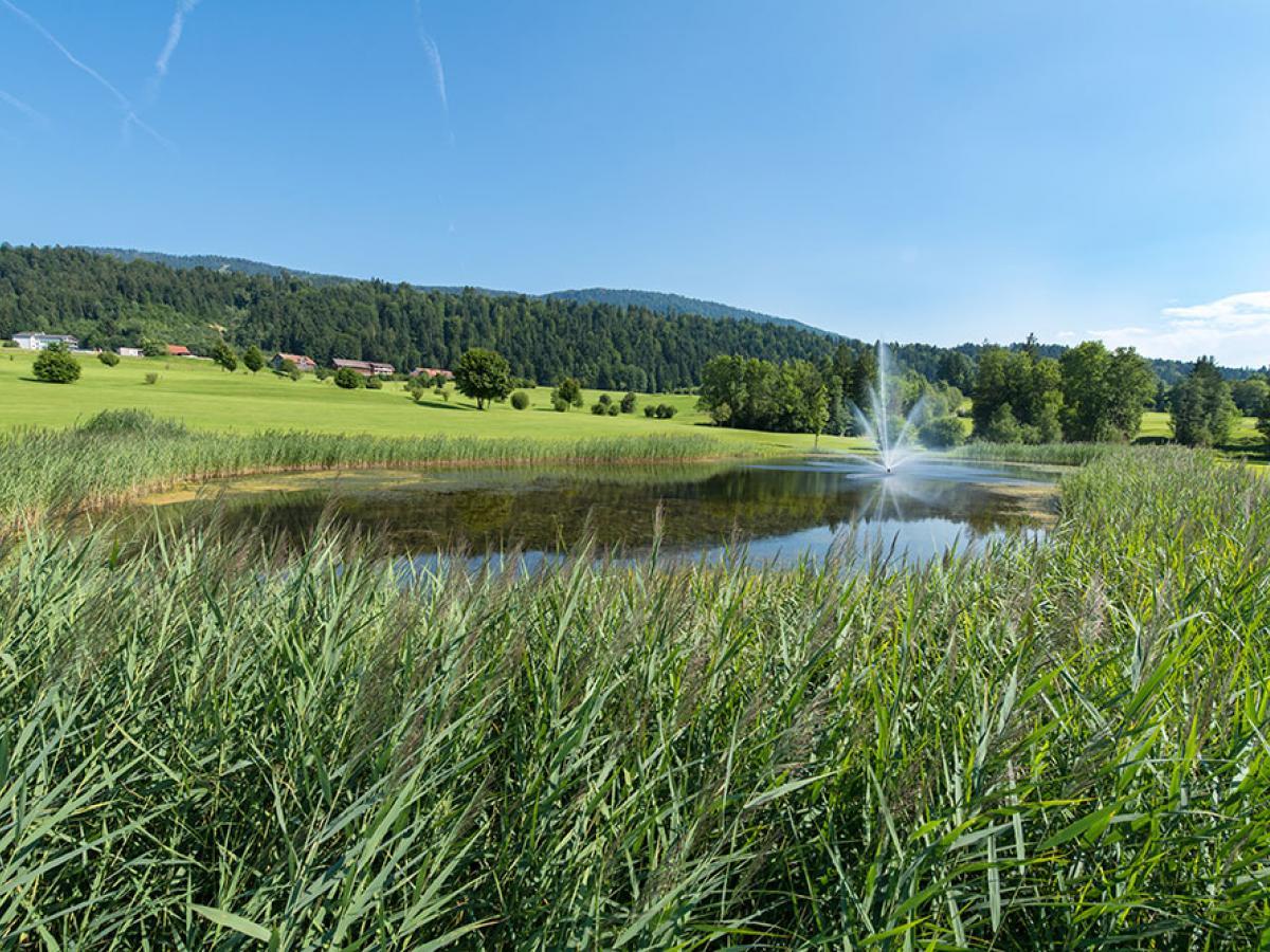 Golf im Bregenzerwald 